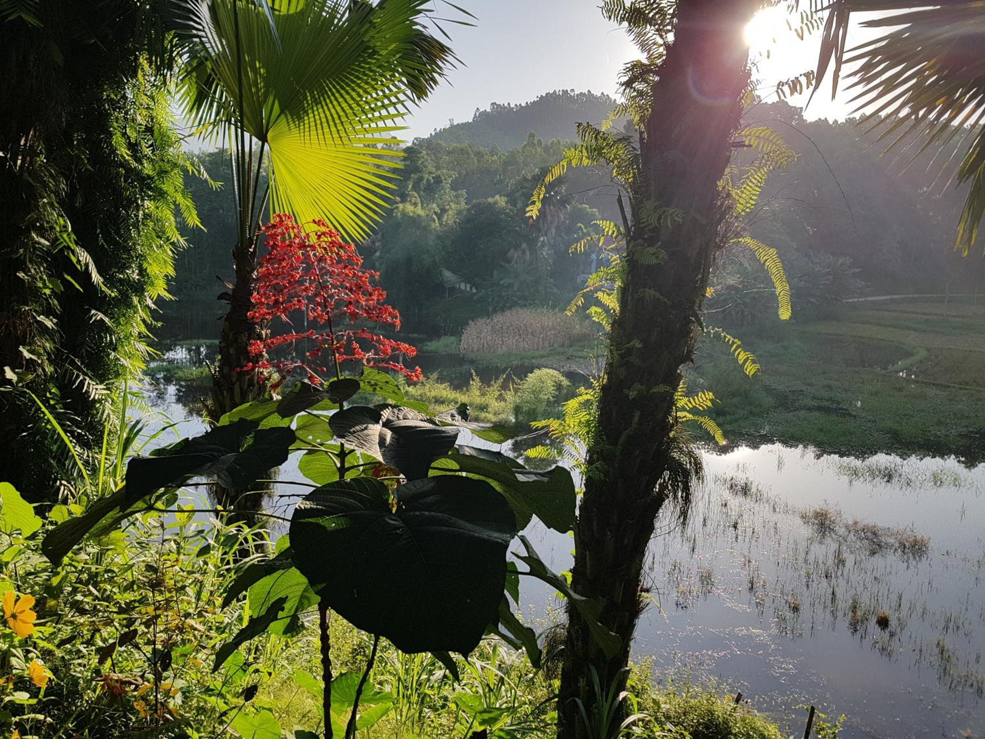 Vu Linh Palm House Homestay - Bungalow Yen Bai Eksteriør bilde