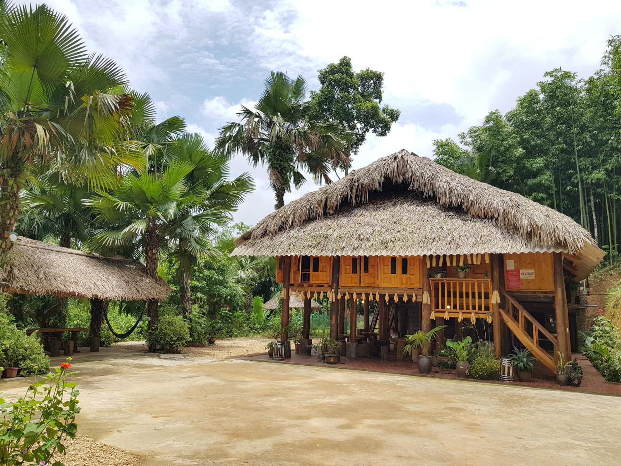 Vu Linh Palm House Homestay - Bungalow Yen Bai Eksteriør bilde