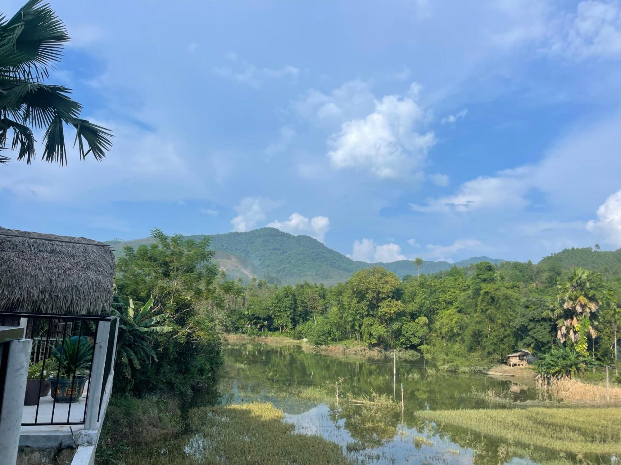 Vu Linh Palm House Homestay - Bungalow Yen Bai Eksteriør bilde