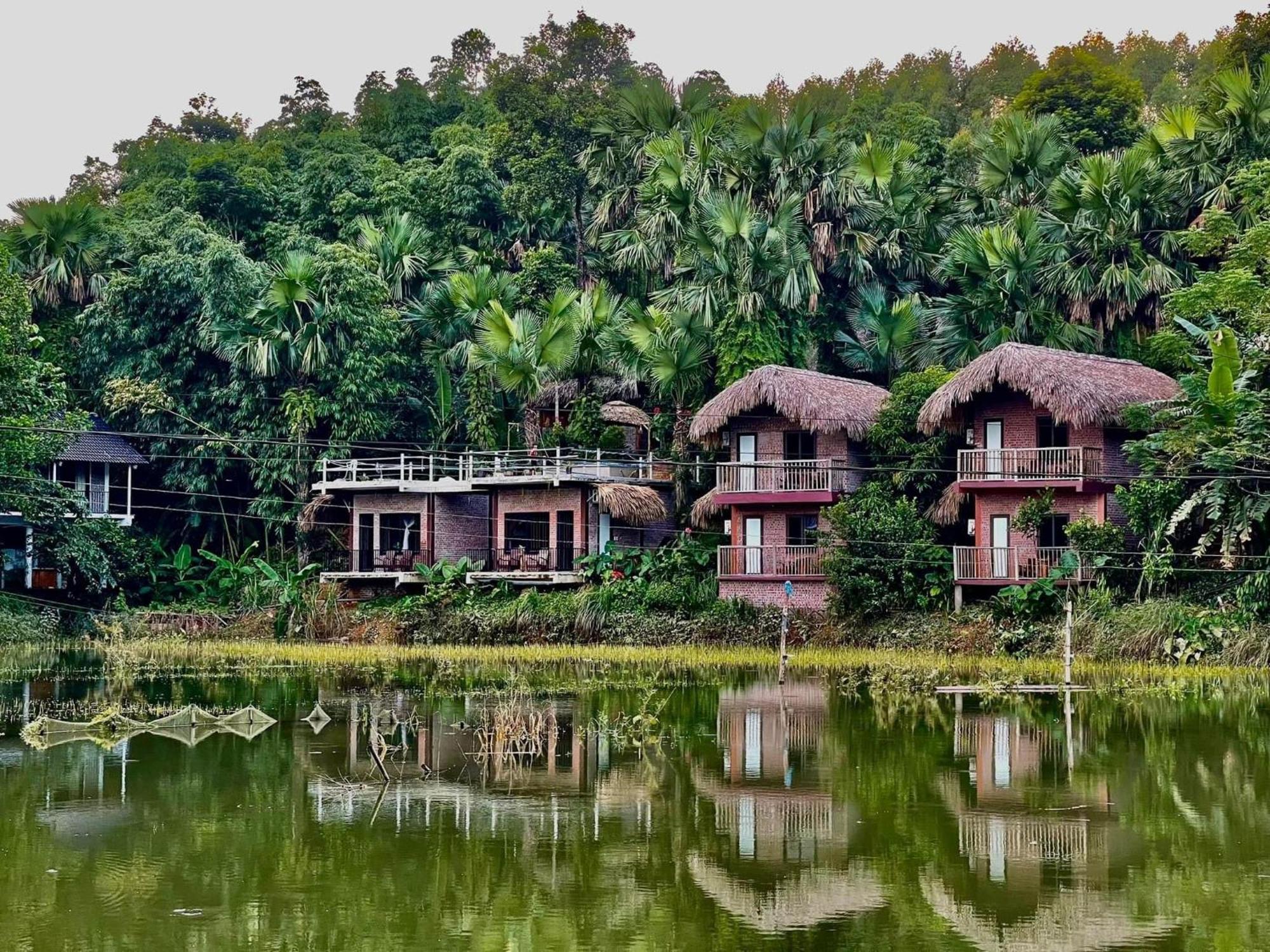 Vu Linh Palm House Homestay - Bungalow Yen Bai Eksteriør bilde