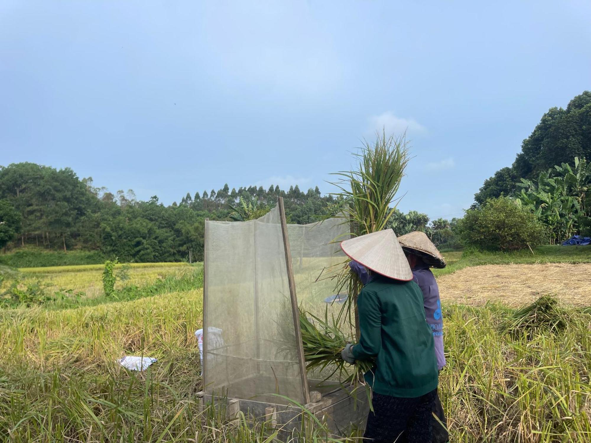 Vu Linh Palm House Homestay - Bungalow Yen Bai Eksteriør bilde